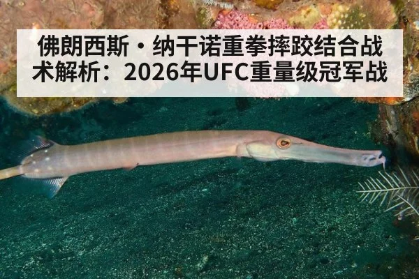 佛朗西斯·纳干诺重拳摔跤结合战术解析：2026年UFC重量级冠军战