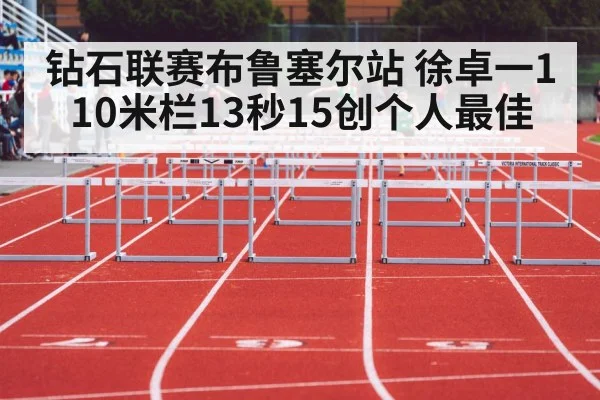 钻石联赛布鲁塞尔站 徐卓一110米栏13秒15创个人最佳